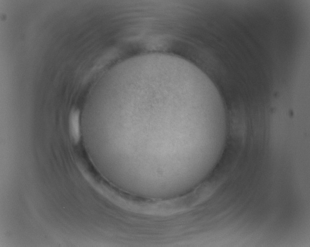 X0000052550028200507011141