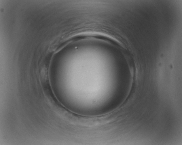 X0000052550029200507011141