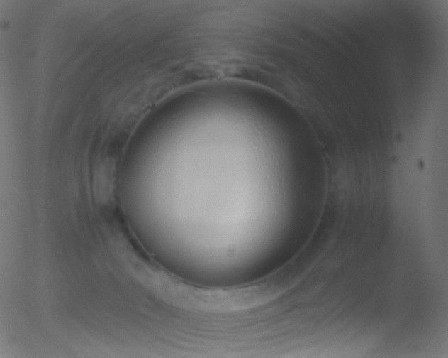 X0000052550030200507011141