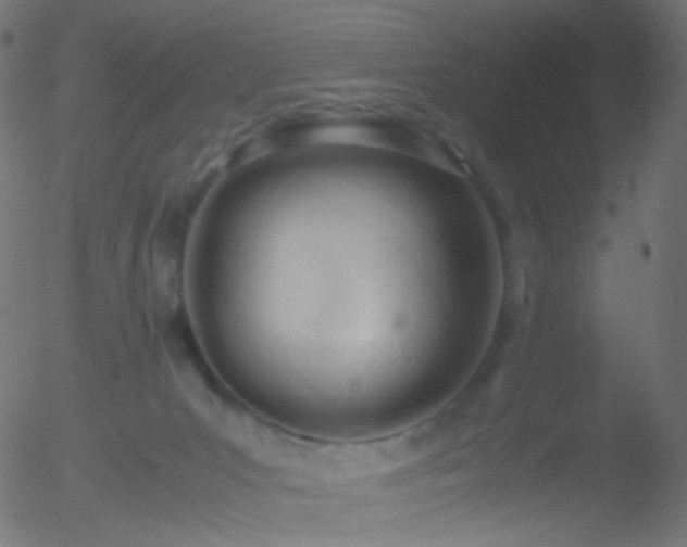 X0000052550031200507011141