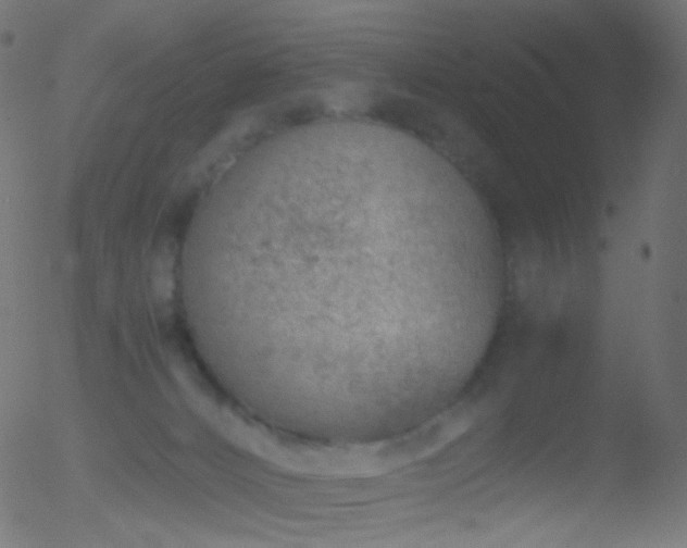 X0000052550032200507011141