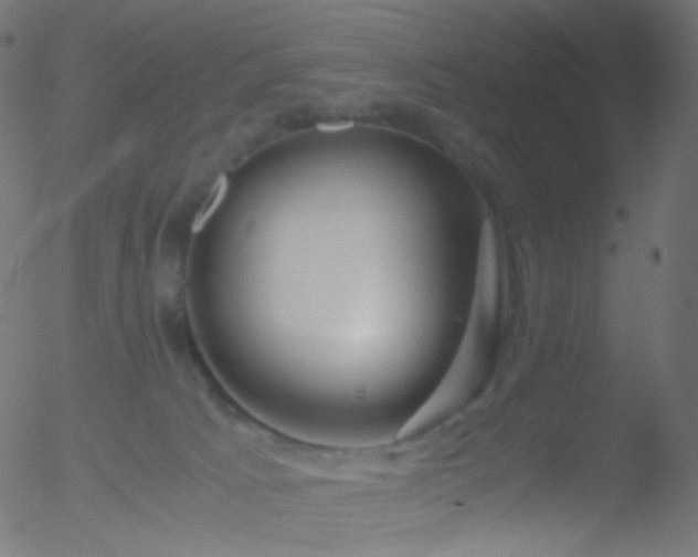 X0000052550033200507011141