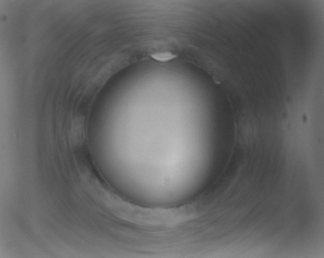 X0000052550034200507011141