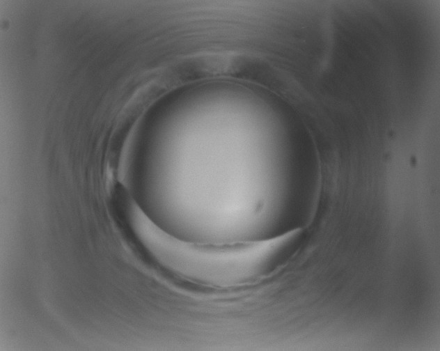 X0000052550035200507011141