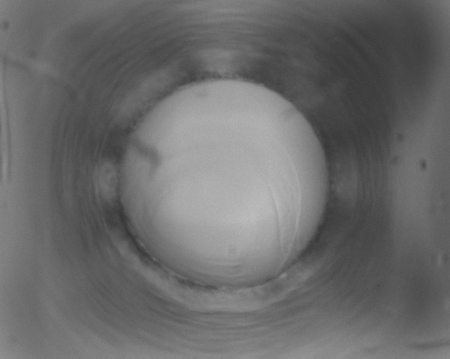 X0000052550036200507011141