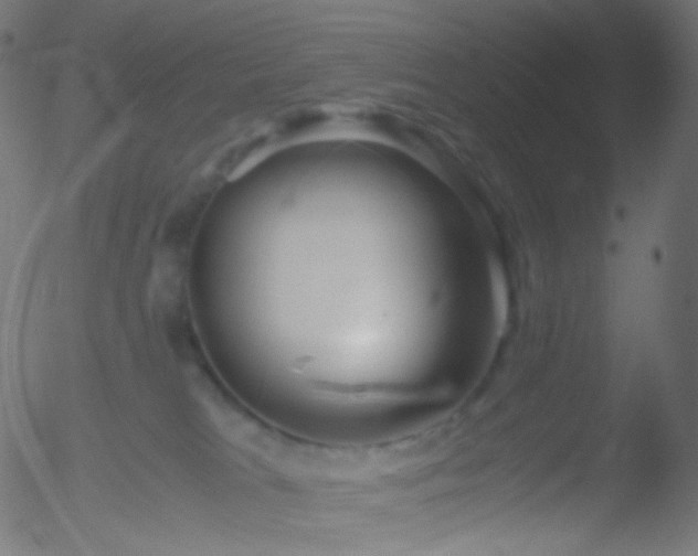 X0000052550037200507011141