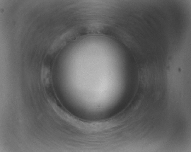 X0000052550038200507011141