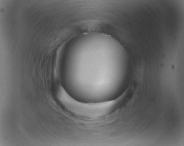 X0000052550039200507011141