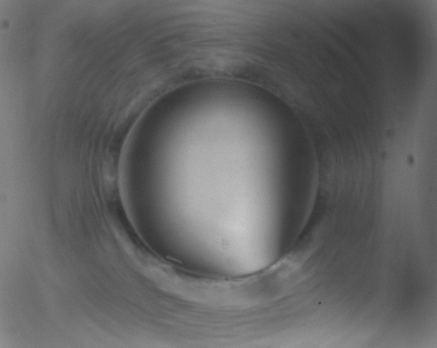 X0000052550040200507011141