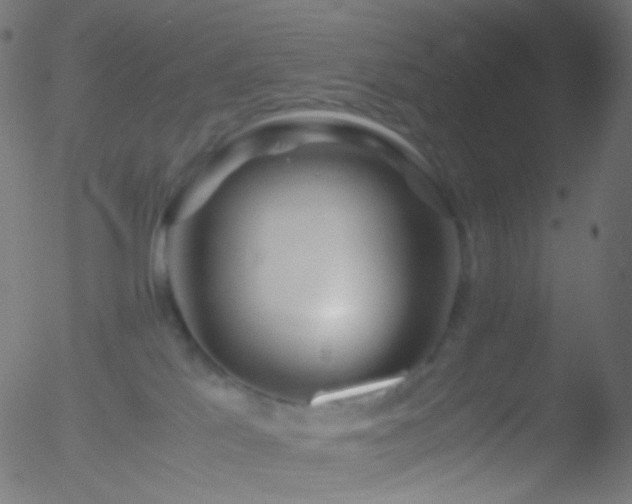 X0000052550041200507011141