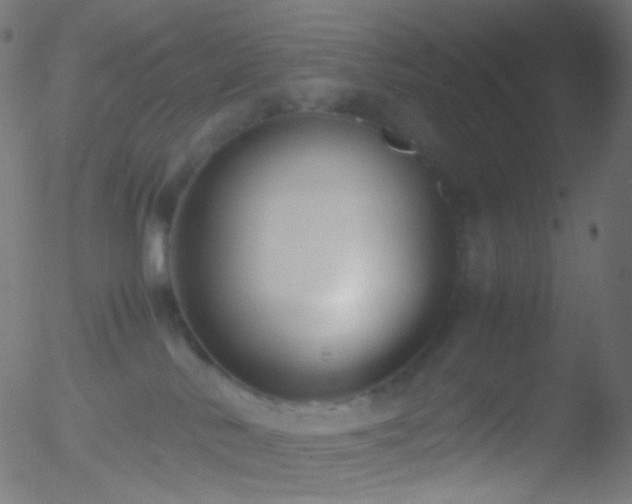 X0000052550042200507011141