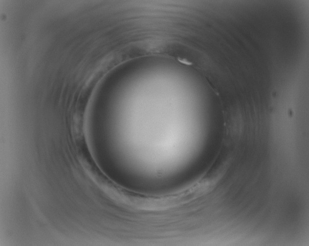 X0000052550044200507011141