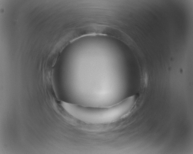 X0000052550045200507011141