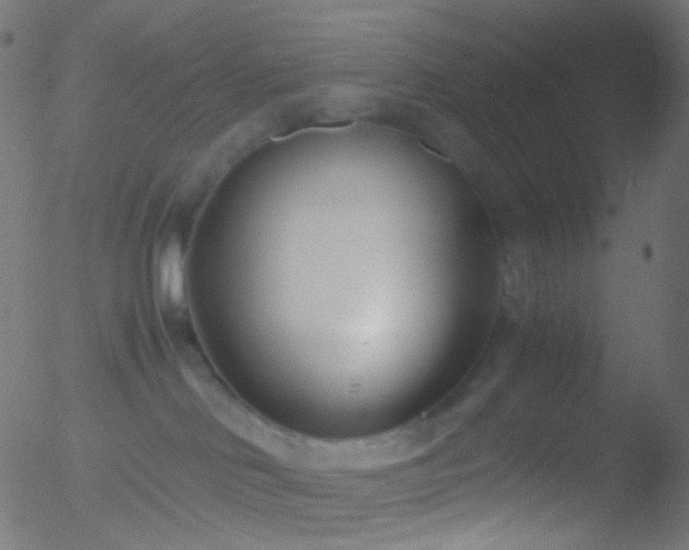 X0000052550046200507011141