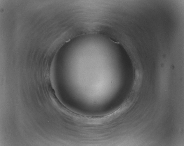 X0000052550048200507011141