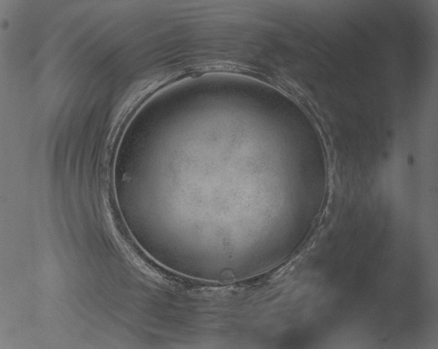 X0000052550049200507011140