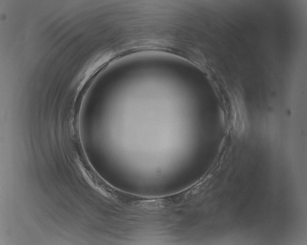 X0000052550050200507011140