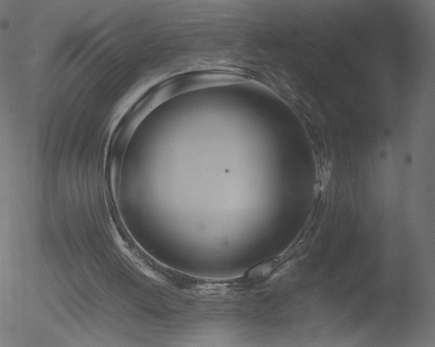 X0000052550052200507011140