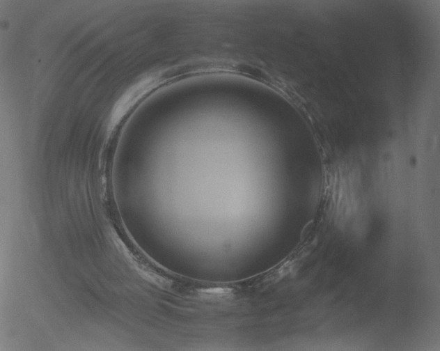 X0000052550053200507011140