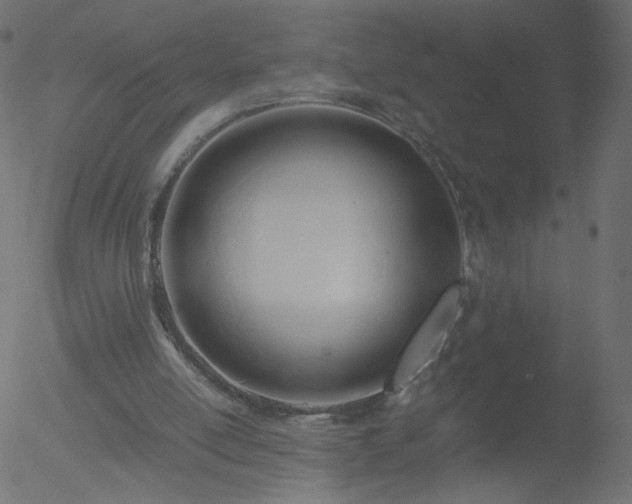 X0000052550054200507011140