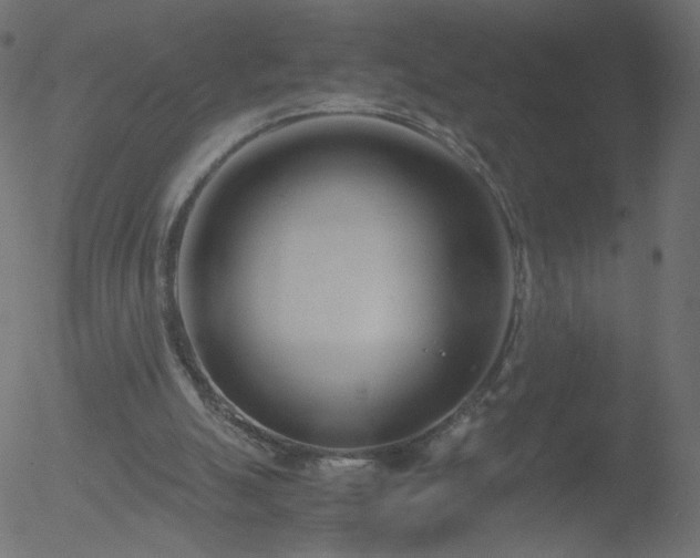 X0000052550055200507011140