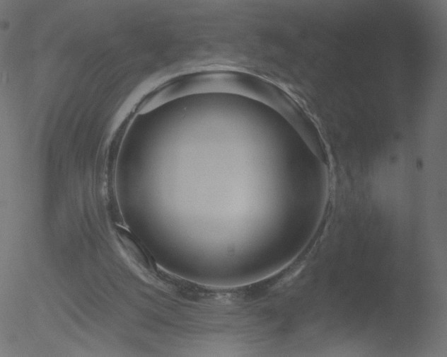 X0000052550056200507011140