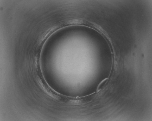 X0000052550057200507011140