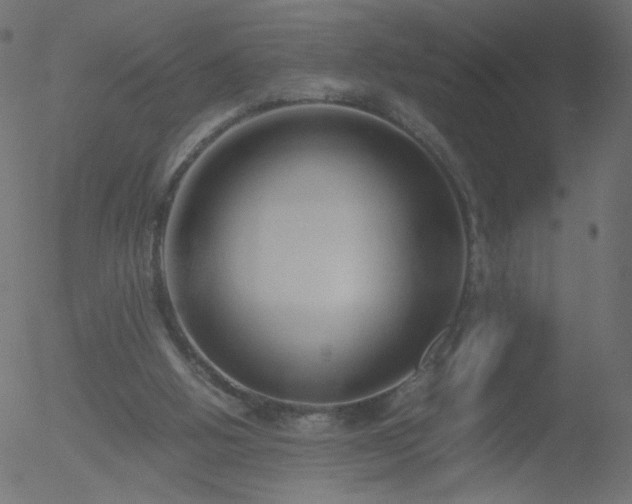 X0000052550058200507011140