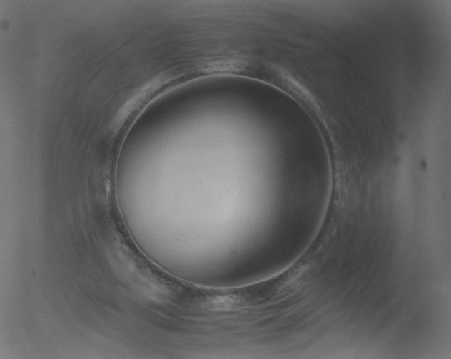 X0000052550059200507011141