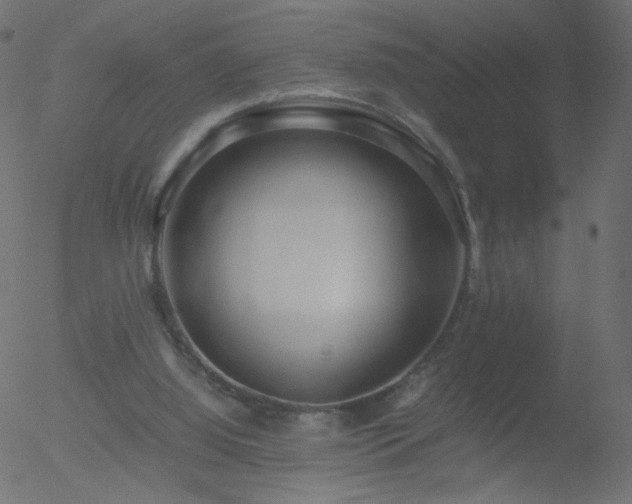 X0000052550060200507011141