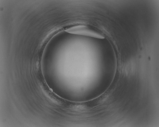 X0000052550063200507011141