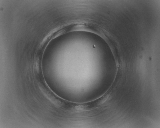 X0000052550064200507011141