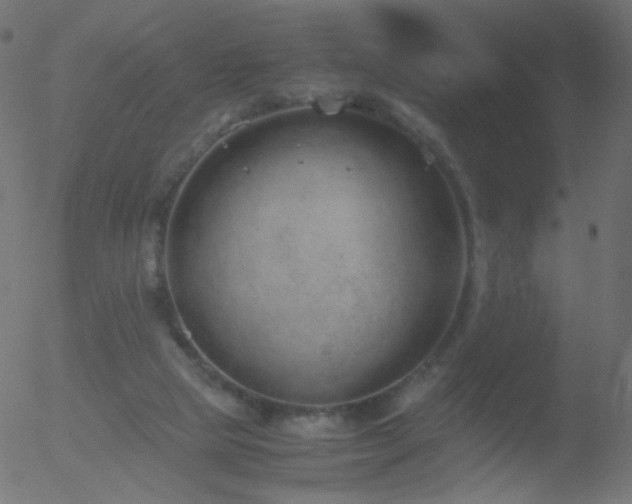 X0000052550065200507011141