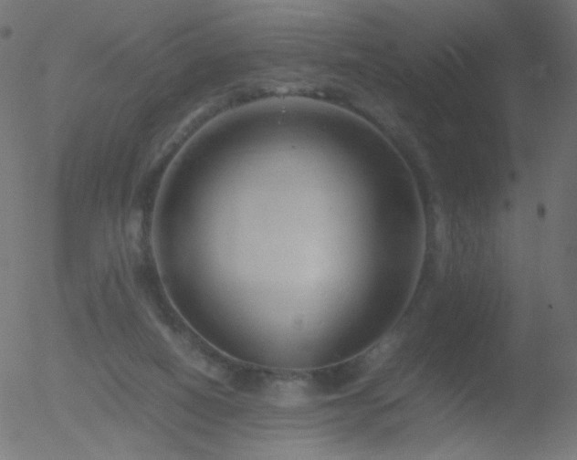 X0000052550066200507011141