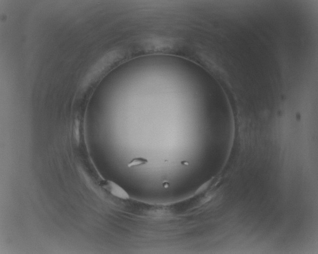 X0000052550067200507011141