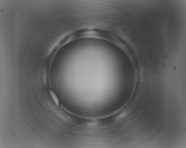 X0000052550068200507011141