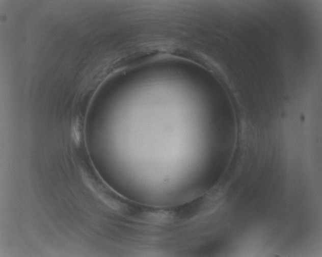 X0000052550069200507011141