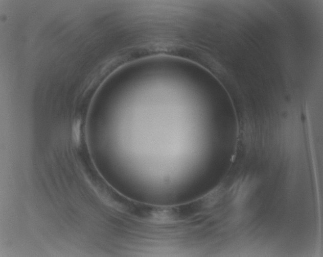 X0000052550070200507011141