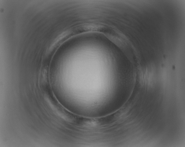 X0000052550071200507011141