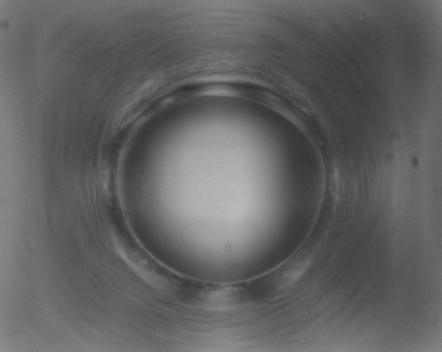 X0000052550072200507011141