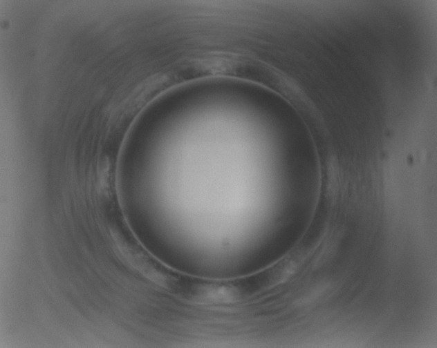 X0000052550073200507011141