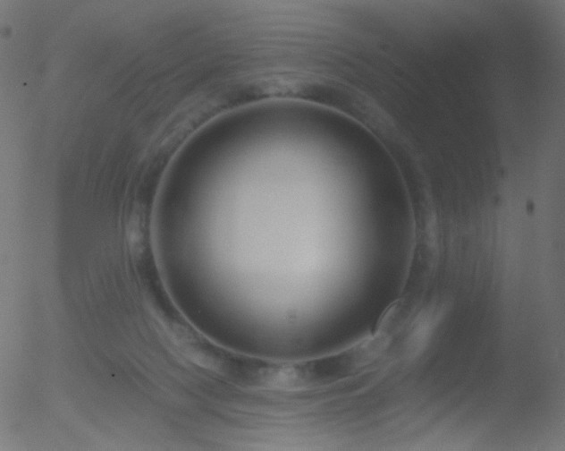 X0000052550074200507011141