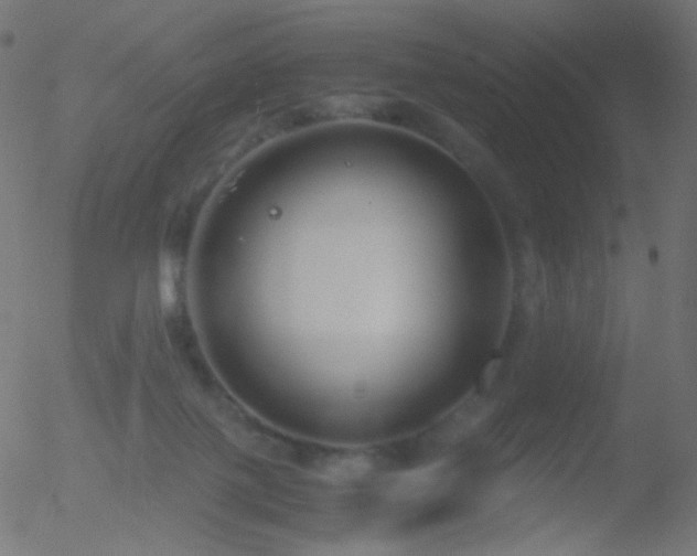 X0000052550075200507011141