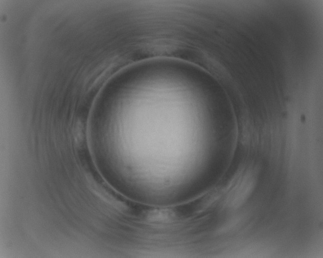 X0000052550077200507011141