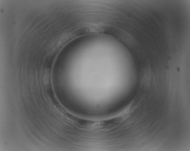 X0000052550078200507011141