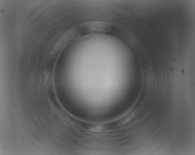 X0000052550079200507011141