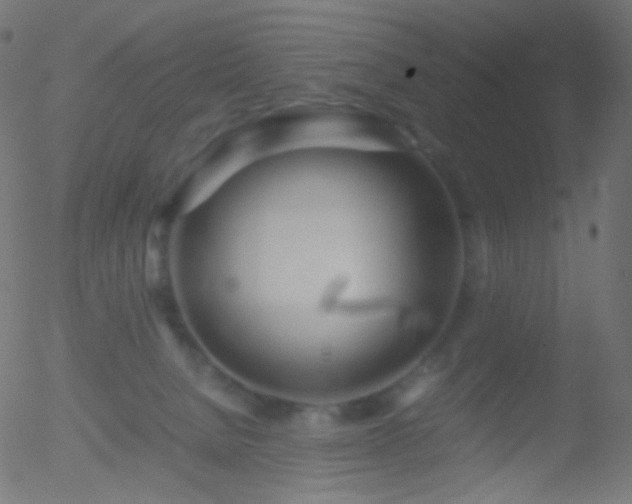 X0000052550080200507011141