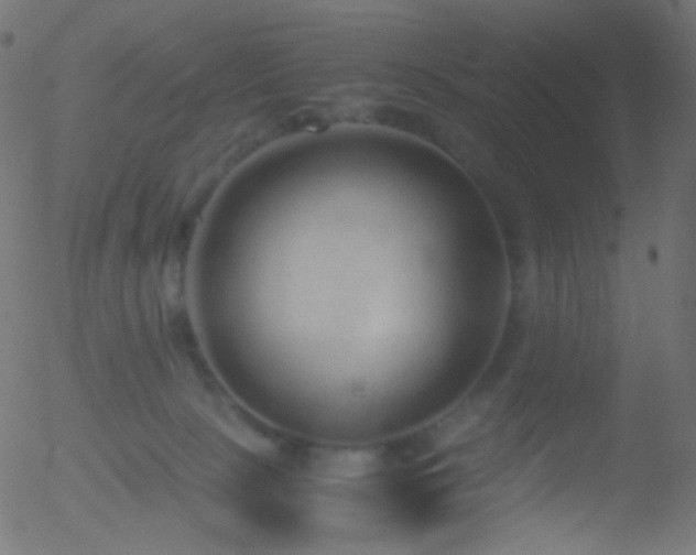 X0000052550081200507011141