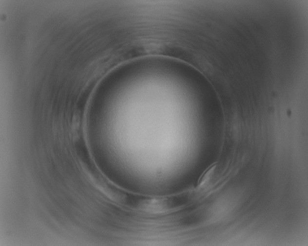 X0000052550082200507011141