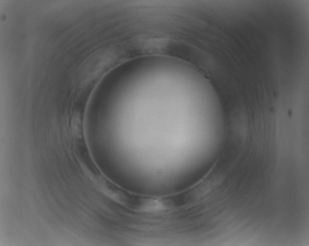 X0000052550083200507011141